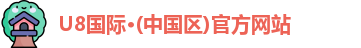 U8国际